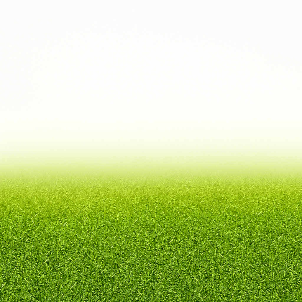 A playful background of grass with a colour gradient overlay